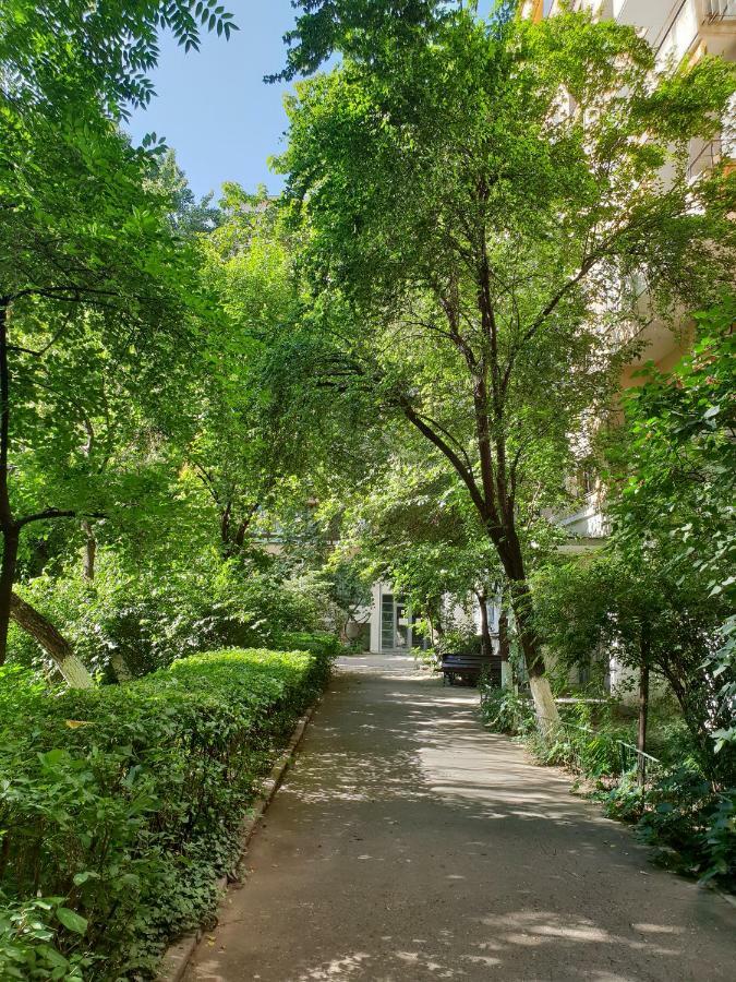 Central Luxury Flat With Terrace - Adela Accommodation - Ideal For Long Stays ブカレスト エクステリア 写真